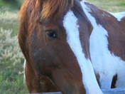 Grand Teton National Park