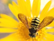 Dinosaur National Monument