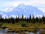 Denali National Park