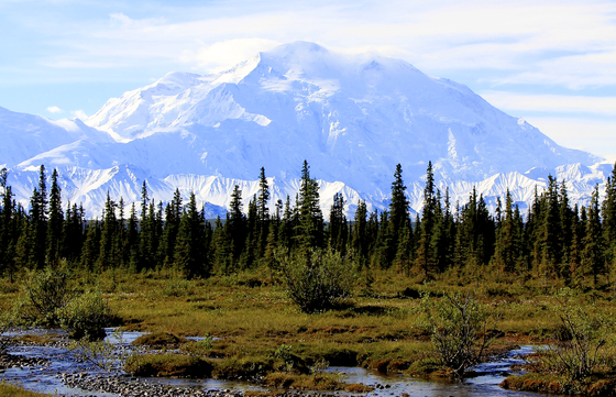 Denali National Park