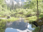 Yosemite National Park
