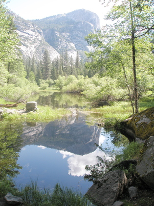 Yosemite National Park