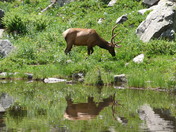 Rocky Mountain National Park 