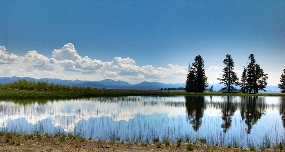 Yellow stone national park