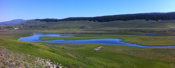Yellow stone national park