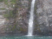 Chugach National Forrest