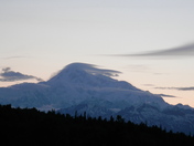 Denali National Park