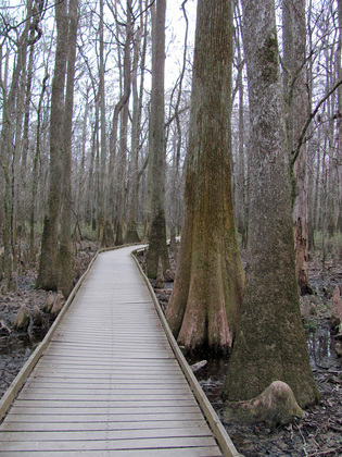 Congaree National Park