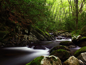 Great Smoky Mountains National Park