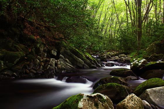 Great Smoky Mountains National Park