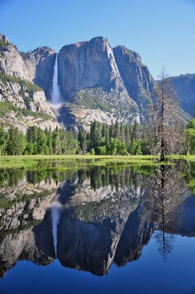 Yosemite National Park