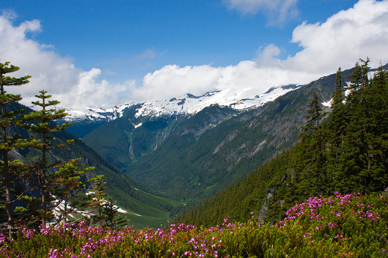 North Cascades National Park