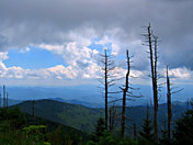 Great Smokey Mountains National Park