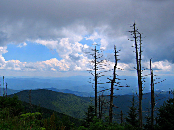 Great Smokey Mountains National Park