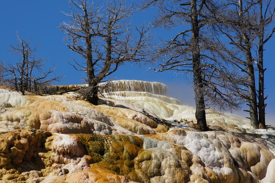 Yellowstone National Park