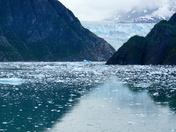 Tongass National Forest