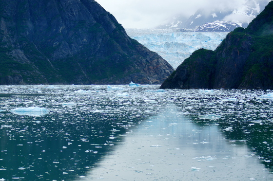 Tongass National Forest