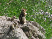 Grand Mesa National Park