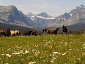 Glacier National Park