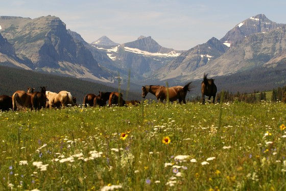 Glacier National Park