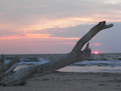 Back Bay National Wildlife Refuge