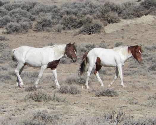 Bitter Creek, Wyoming