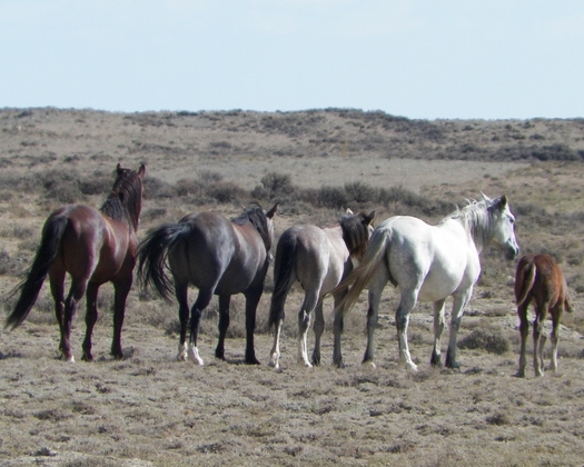 Bitter Creek, Wyoming