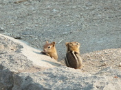 Crater Lake National Park