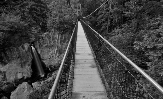 Siuslaw National Forest