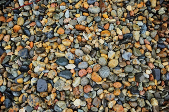 Acadia National Park