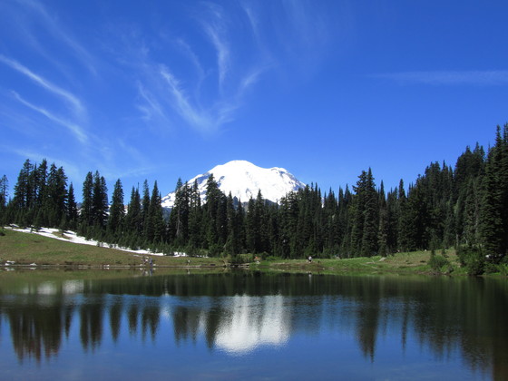 Mt. Rainier National Park