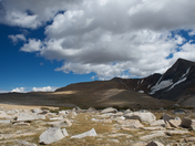 Inyo National Forest