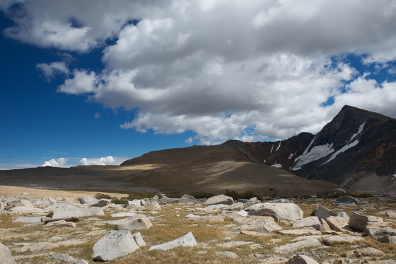 Inyo National Forest