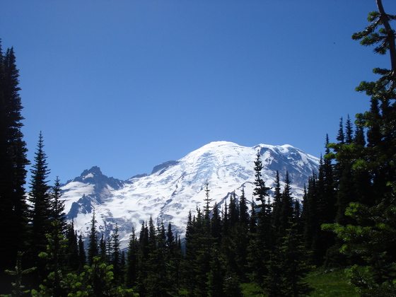 Mt. Rainer