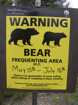 Grand Teton national Park