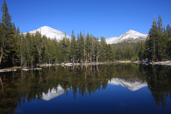 Yosemite National Park
