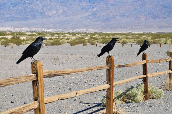 Death Valley