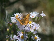 Grrand Teton Nationa Park