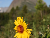 Glacier National Park