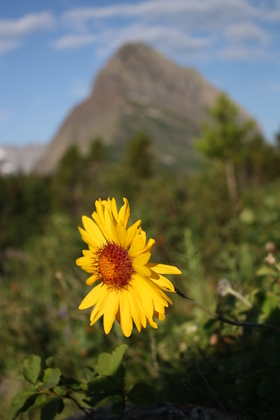 Glacier National Park
