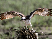 Lagun Atascosa National Wildlife Refuge