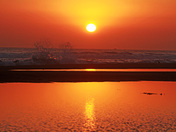 Channel Islands National Park