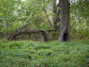 Two Rivers National Wildlife Refuge