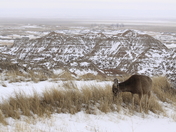Badlands National Park