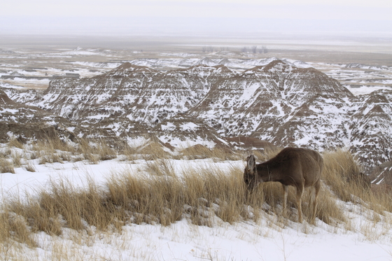 Badlands National Park