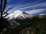 Mt. Rainier National Park
