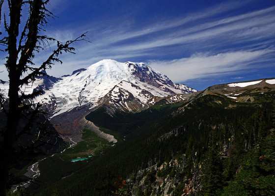 Mt. Rainier National Park