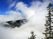 Mt. Rainier National Park