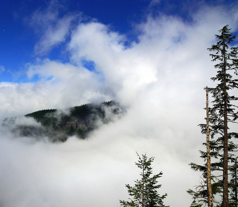 Mt. Rainier National Park