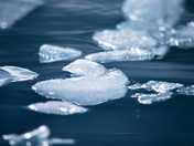 Glacier Bay National Park